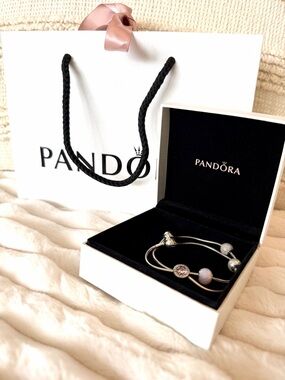 RARE❗️ Retired PANDORA ESSENCE Set of 2 Bracelets & 4 Charms